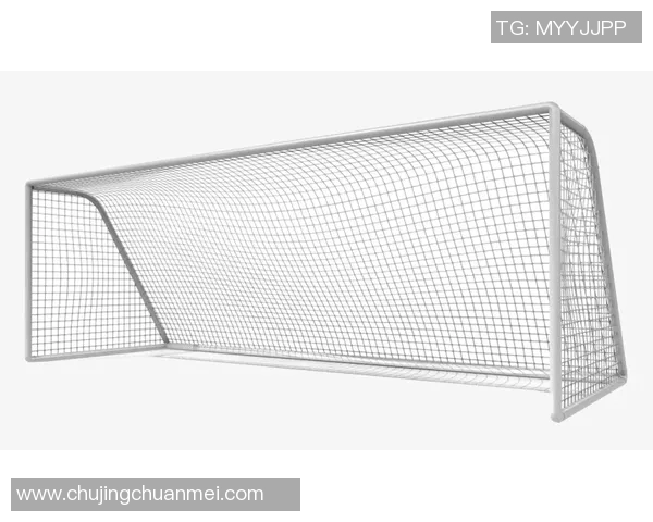 足球球门创新设计专利解析与应用前景探讨 足球球门创新设计专利解析与应用前景探讨