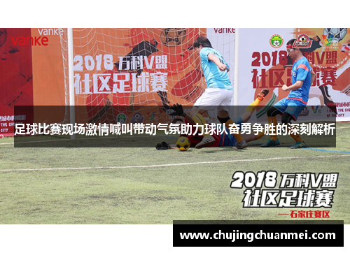 足球比赛现场激情喊叫带动气氛助力球队奋勇争胜的深刻解析