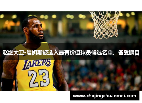 赵继大卫-詹姆斯被选入最有价值球员候选名单，备受瞩目