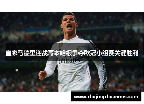 皇家马德里迎战哥本哈根争夺欧冠小组赛关键胜利