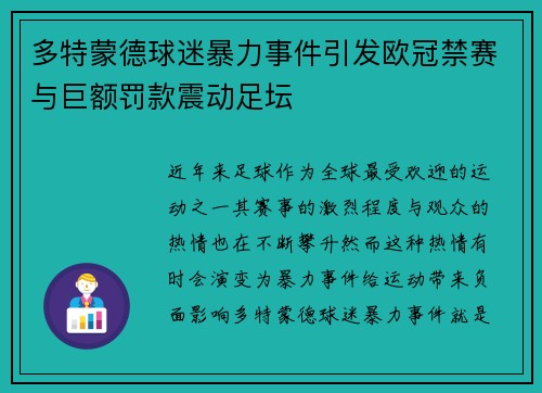 多特蒙德球迷暴力事件引发欧冠禁赛与巨额罚款震动足坛