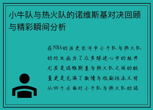 小牛队与热火队的诺维斯基对决回顾与精彩瞬间分析
